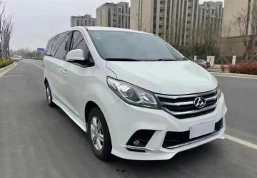 大通G10舒適型商務(wù)車(chē)